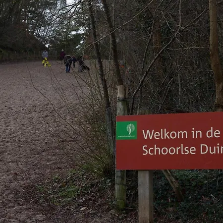 Schoorlse Duinen Schoorl