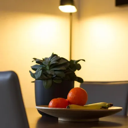 Apartamento Schoorlse Duinen *
